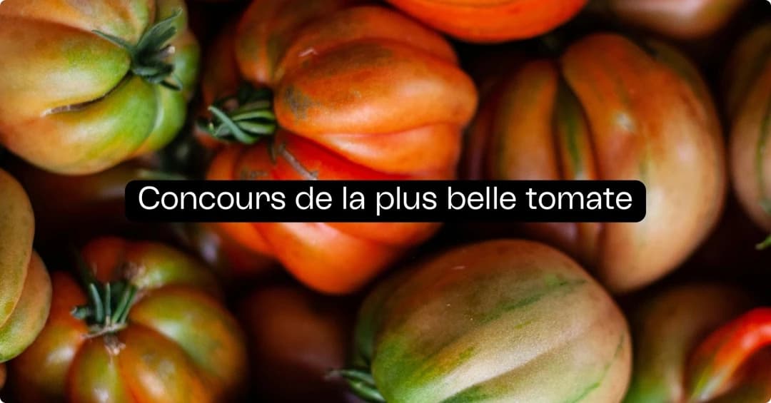 Photo de contenu de la brève La Fête du Champ à l'Assiette | 10e édition