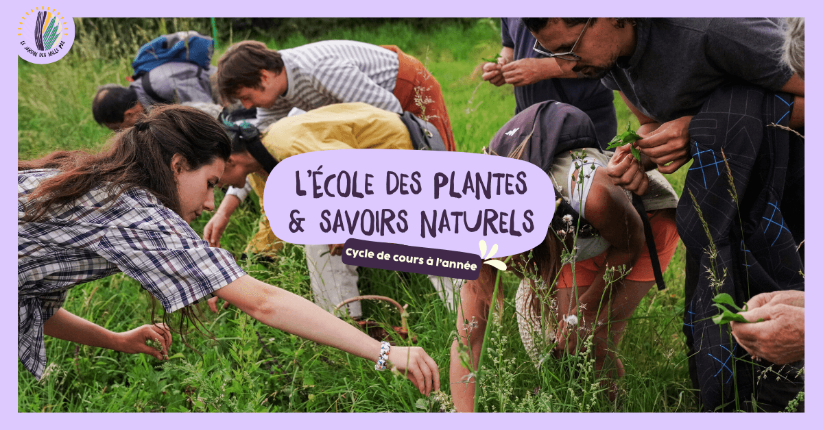 L'École des Plantes | Cours à l'année