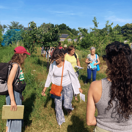 Photo de contenu de la brève À la découverte des plantes sauvages | Balade Botanique