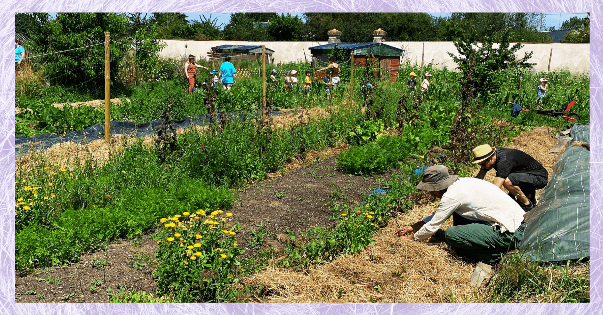 Concevoir et cultiver son potager au naturel | Stage 2 Jours