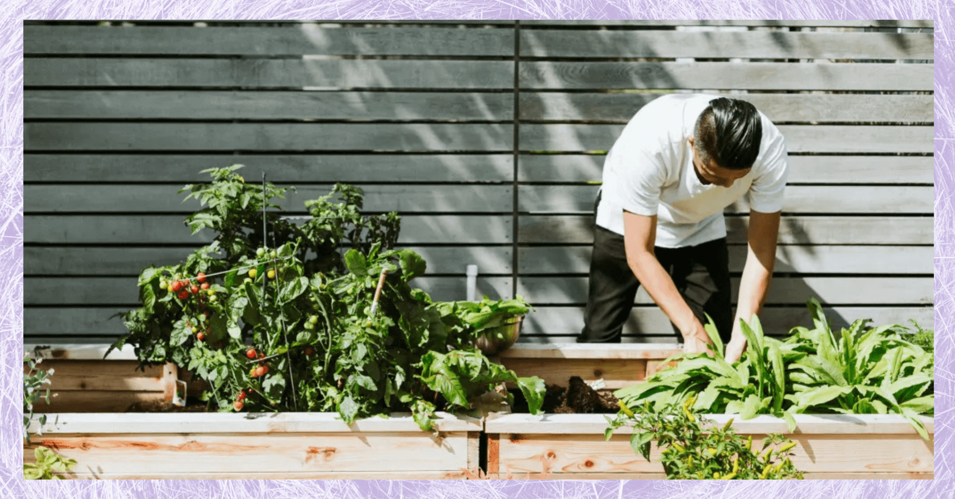 Organiser son plan de potager et ses associations de cultures | Atelier Jardin