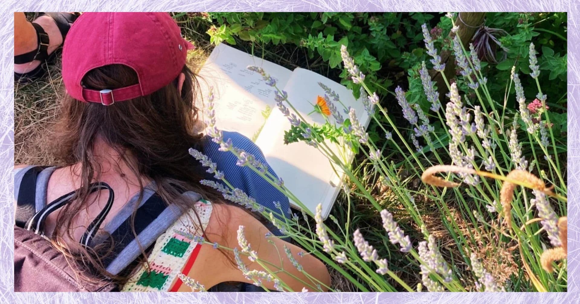 S'initier à la culture des plantes aromatiques et médicinales | Stage 1 jour