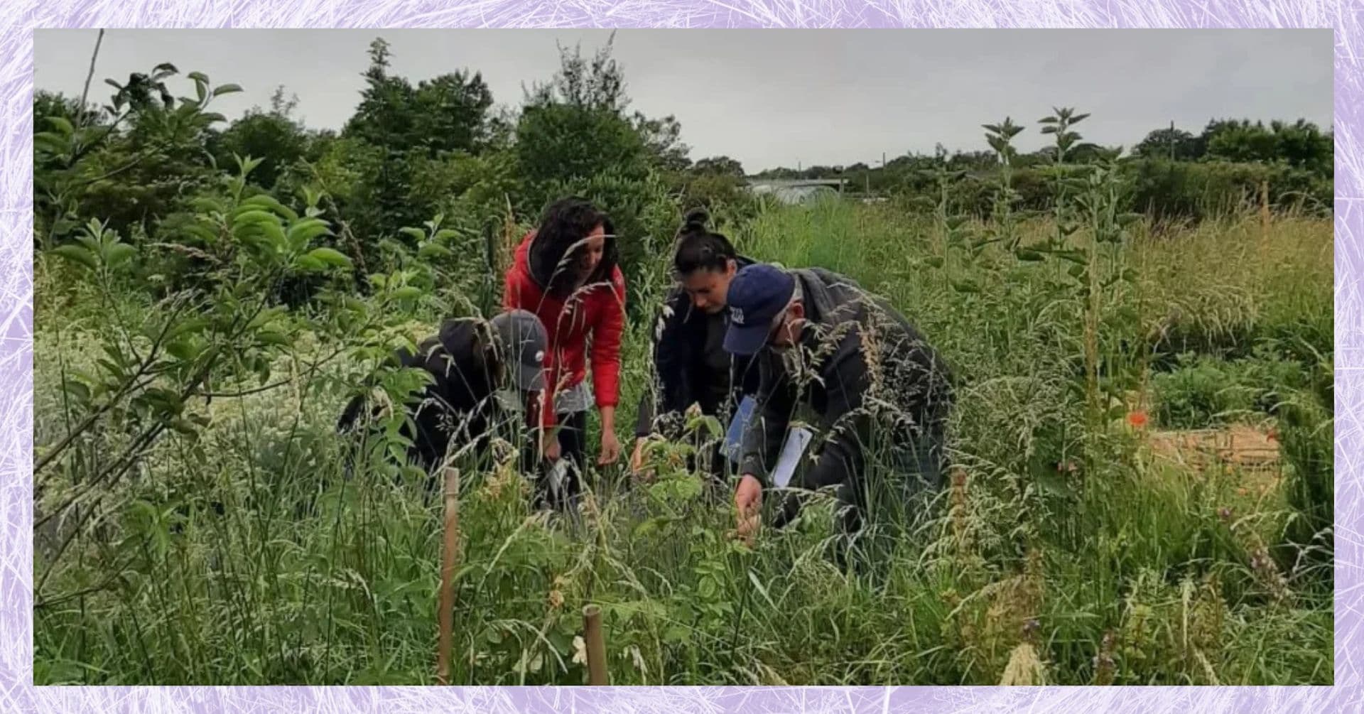 Concevoir un jardin multi-étagé : le jardin-forêt | Stage 1 Jour