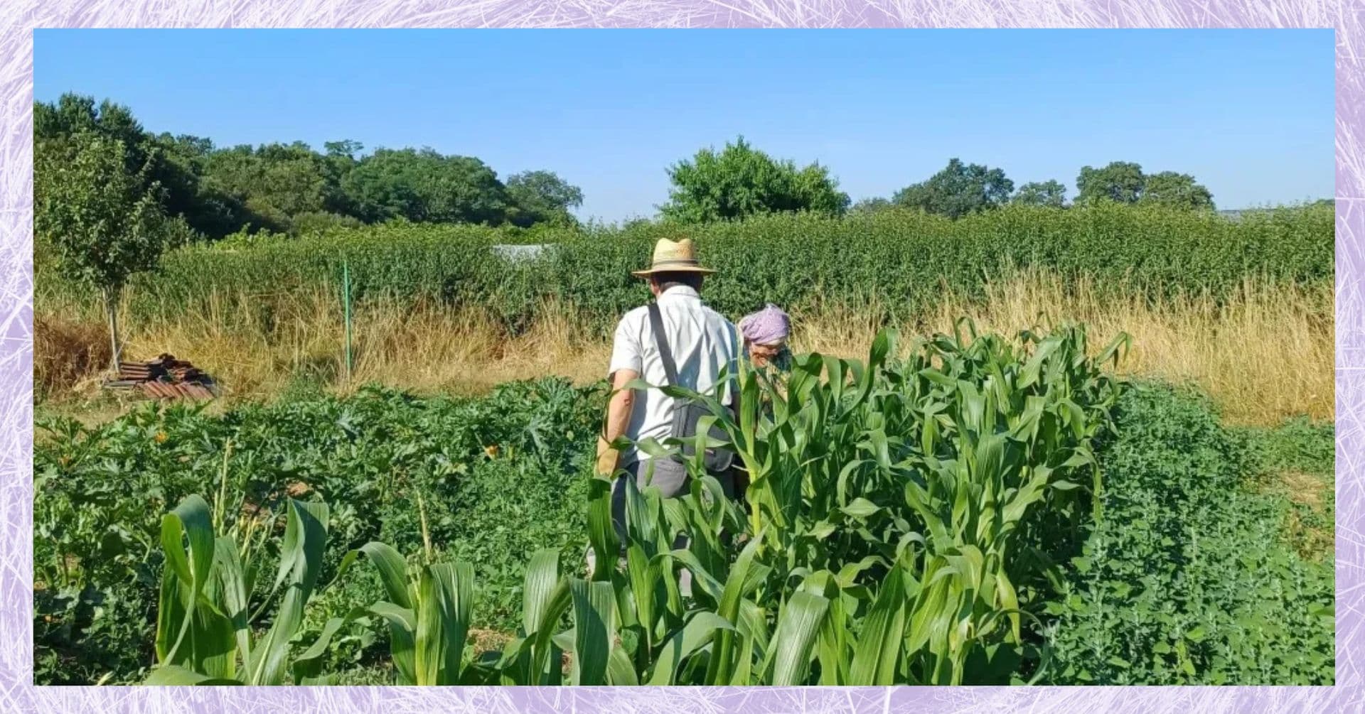 Concevoir et cultiver son potager au naturel | Stage 2 Jours