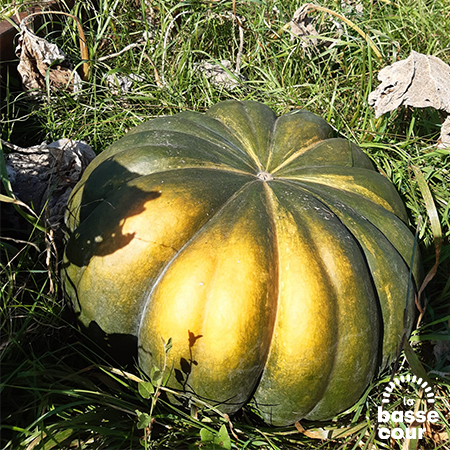 La Basse COurge